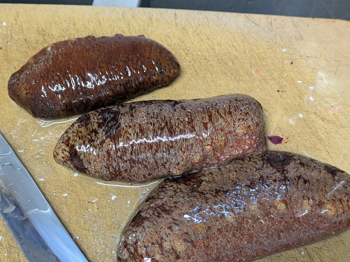 画像の説明 画像の説明