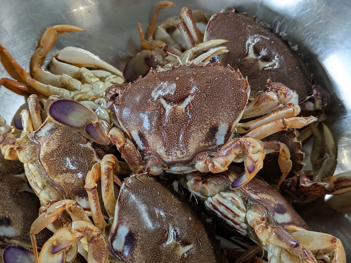 画像の説明 画像の説明