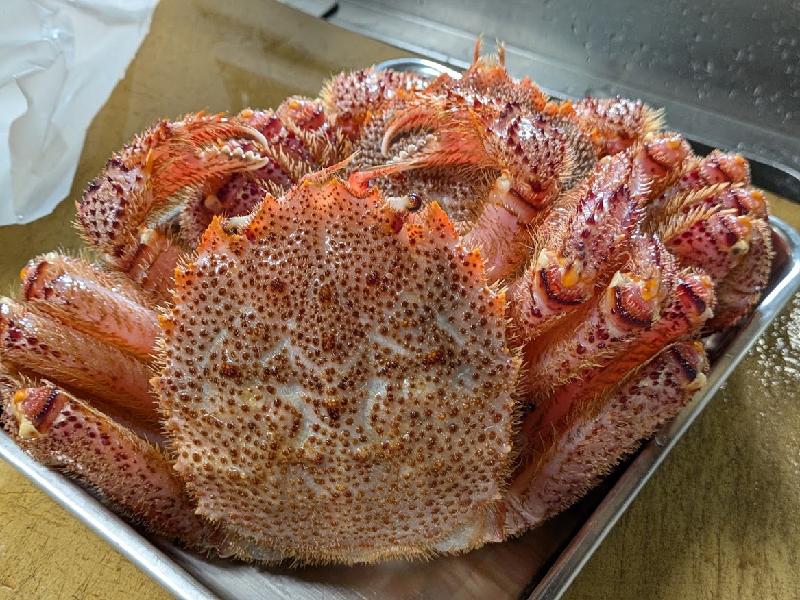 画像の説明 画像の説明